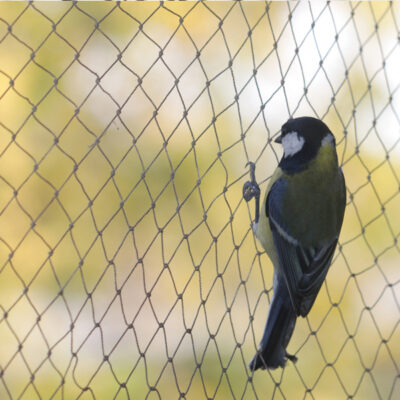 5 Redes de protección anti aves
