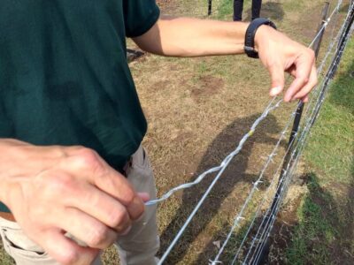 Empalme para alambrados