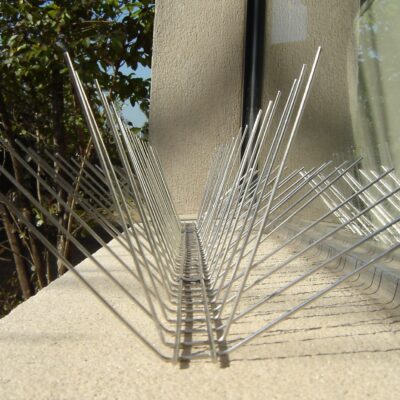Pinches galvanizados para palomas 50cm