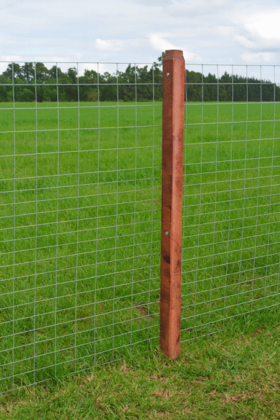 poste quebracho aserrado 3x3 muestra Poste quebracho colorado aserrado 3"x 3"